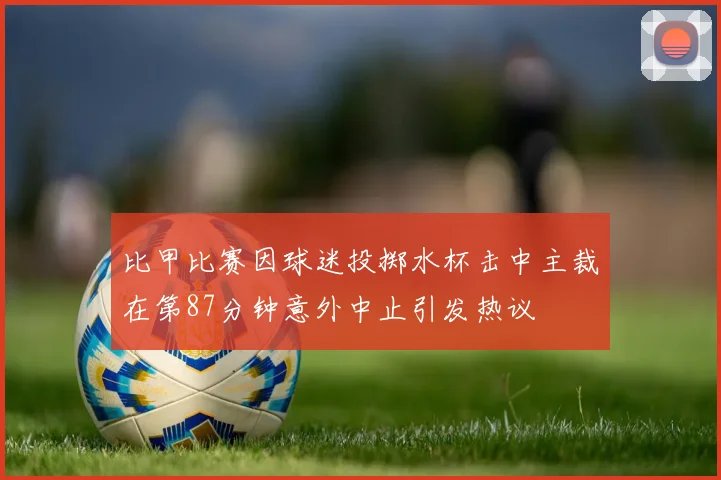 比甲比赛因球迷投掷水杯击中主裁在第87分钟意外中止引发热议